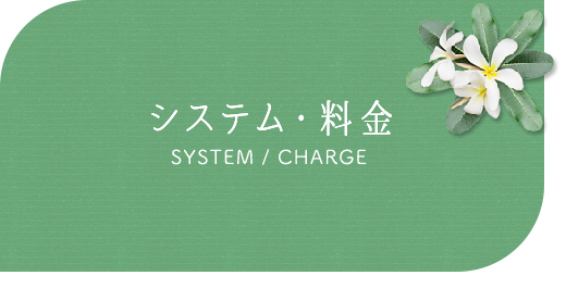 banner_system_half